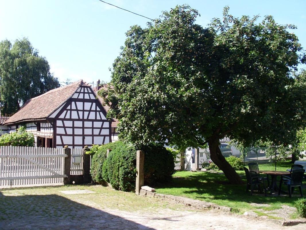Gites Et Chambres D'Hotes Maison Ungerer アンスパック エクステリア 写真
