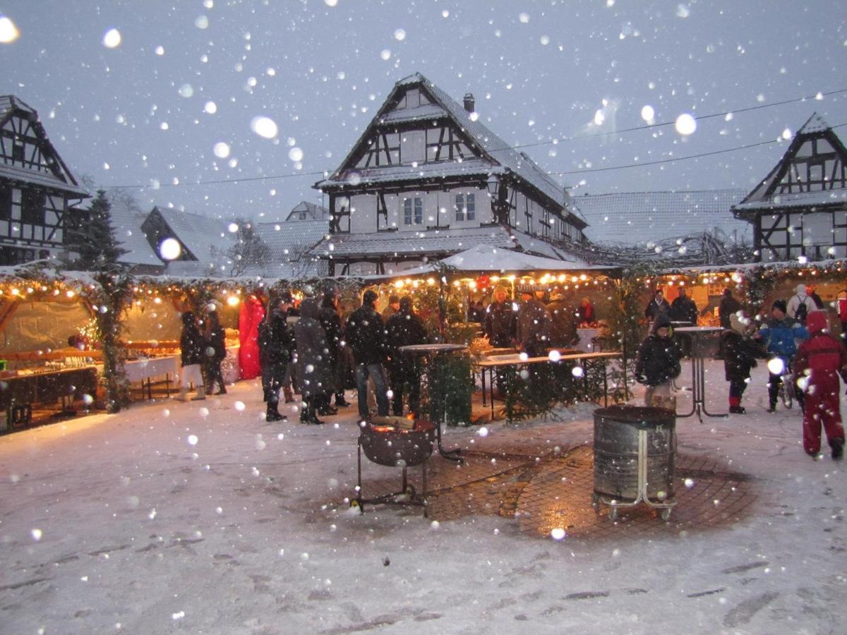 Gites Et Chambres D'Hotes Maison Ungerer アンスパック エクステリア 写真